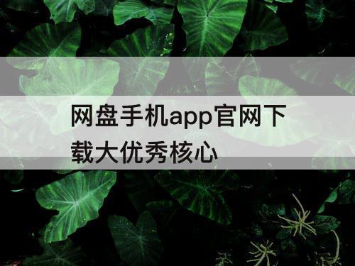 网盘手机app官网下载大优秀核心