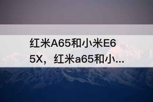 红米A65和小米E65X，红米a65和小米e65x那个好